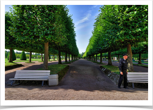 Lane of shade trees. 